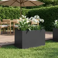 vidaXL Plantenbak Zwart 50 x 40 x 40 cm Koudgewalst staal