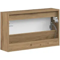 vidaXL Wandgemonteerde Schoenenkast ALKMAAR 71 x 17 x 43 cm