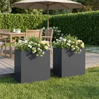 vidaXL Plantenbak 2 st Antraciet 50 x 30 x 50 cm Koudgewalst staal