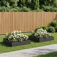 vidaXL Plantenbak 2 st Zwart 80 x 80 x 20 cm Koudgewalst staal