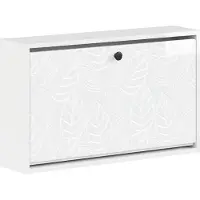 vidaXL Wandgemonteerde Schoenenkast DELFT 71 x 17 x 43 cm Bewerkt hout