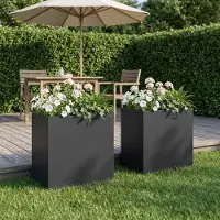 vidaXL Plantenbak 2 st Zwart 50 x 30 x 50 cm Koudgewalst staal