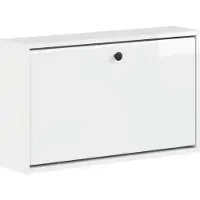 vidaXL Wandgemonteerde Schoenenkast BREDA 71 x 17 x 43 cm Bewerkt hout