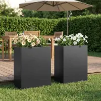vidaXL Plantenbak 2 st Zwart 40 x 20 x 50 cm Koudgewalst staal