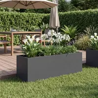 vidaXL Plantenbak Antraciet 60 x 20 x 20 cm Koudgewalst staal