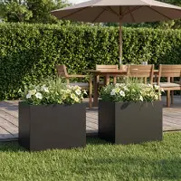 vidaXL Plantenbak 2 st Zwart 40 x 30 x 30 cm Koudgewalst staal