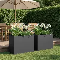 vidaXL Plantenbak 2 st Zwart 60 x 30 x 40 cm Koudgewalst staal