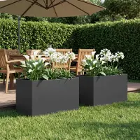 vidaXL Plantenbak 2 st Zwart 60 x 40 x 40 cm Koudgewalst staal