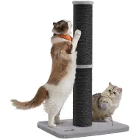Markenlos – Krabpaal voor katten, 85 cm hoog, met 13 cm dikke sisalpaal, ideaal voor het krabben en spelen