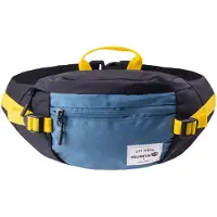 Iguana Fanny pack Gomeisa