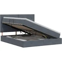 vidaXL Opslag bed met matras Donkergrijs 180 x 200 cm Fluweel
