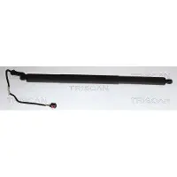 TRISCAN 8710 29337 Gasveer achterklep