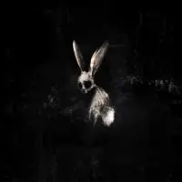 Sony music GHØSTKID- FOLLOW THE WHITE RABBIT (CD)