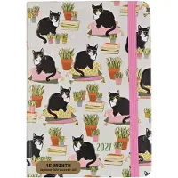 Comello Agenda - 2027 - Compact - 16 maanden - Knappe katten - 12,7x17,8cm
