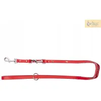 Dingo Verstelbare Leren Hondensnoer 1x200cm Rood