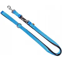 Dingo Uittrekbare Lijn Extra Energie Blauw 2cm x 220cm