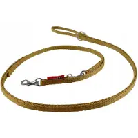 Champion Verstelbare Hondenlijn 225cm, 1cm Breed, Goudkleurig