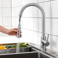 CECIPA MAX Keukenkraan met Uittrekbare Uitloop - Handdouche - 360° Draaibaar - Keukenmengkraan - Flexibele Slang - Zilver