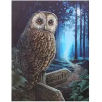 Something Different Lisa Parker - - Way Of The Witch by Lisa Parker Canvas afbeelding - Multicolours - 50x70cm