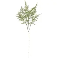 Maxifleur Kunstplanten Asparagus Kunsttak 66cm