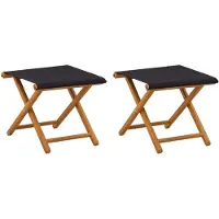 vidaXL Ligstoel 2 pcs massief eucalyptushout Zwart