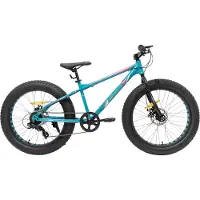 Happiq Kinder Mountainbike 51 cm – Voor Kinderen vanaf 5 Jaar – 7 Versnellingen – Dubbele Schijfremmen – Fat Tire Kinderfiets – Groen