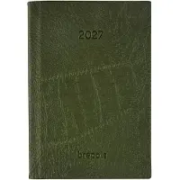 Brepols agenda 2027 - DELTA [0.834] - LUCCA - Zakagenda - 1 week op 2 pagina's - Weekoverzicht - Groen - 8.1 x 12 cm/Klein formaat!!