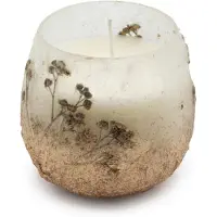 AW Gifts Small Glass Jar Candles - Wildlight Woods