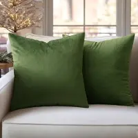 Famanu – Set van 2 fluwelen kussenhoezen, decoratieve kussenslopen voor sofa en slaapkamer, 50 x 50 cm, matcha groen
