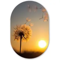 MuchoWow Muurovaal 60x90 cm - Ovale wanddecoratie Paardenbloem - Zon - Zonsondergang - Ovalen schilderij - Muurdecoratie woonkamer - Kamer decoratie - Schilderijen - Wandcirkel