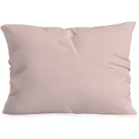 Zelesta Special Mousseline Kussensloop Set Van 2 - Zachtroze 80x80cm