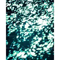 IXXI Wall Shadows Teal, Angelo Cerantola - 80 x 100 cm - Grote wanddecoratie en posters - Modern, Abstract, Surrealisme, Digitale Kunst, Speels