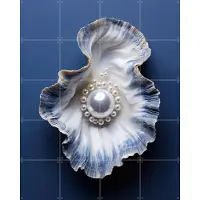 IXXI Blue Oyster with Pearls, OTTI - 80 x 100 cm - Gratis ophangtool - Grote wanddecoratie en posters Strandhuis, Woonkamer, Slaapkamer, Landschappen