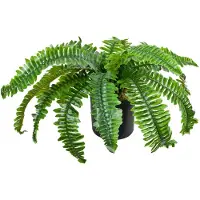 Decovego Kunstmatige Valse Varen Plant Decoratie Bininnen 45cm