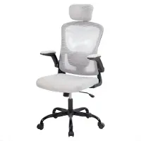 Happiq Bureaustoel - Ergonomische Mesh Stoel met Hoge Rug, 2D Hoofdsteun, Lendensteun, verstelbaar Armleuningen en Kantelfunctie - Grijs