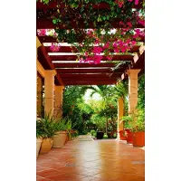 Dimex Fotobehang - Terrace 150x250cm - Vliesbehang
