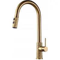 Gamma TARU PRO Keukenkraan Geborsteld Goud met Uittrekbare Spuit