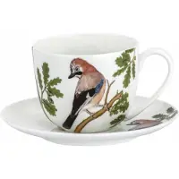 Marco polo Kop en Schotel 300ml met Poolse Vogel - Gaai, Kleurrijk Cadeau