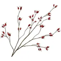 Silk-ka Kunstbloem-Zijden Bloem Rozenbottel Tak Rood 126 cm