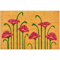 Maan Kokos Wycieraczka 40x60cm - Natuurlijke Vezels & Efficiënte Reiniging