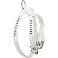 Flamingo Hondentuig Monte Carlo Wit - Wit - 21 - 27 cm x 11 mm