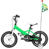 Happiq Kinderfiets – Voor meisjes 2–7 jaar – Met poppenfietszadel, streamers, vlag en nummerplaat – Green-16 Inch