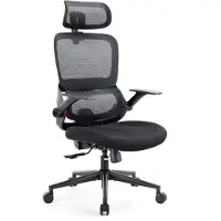 Sihoo B100 Ergonomische Bureaustoel - 2D Klaparmleuningen - Dubbele Lendensteun - Verstelbare Hoofdsteun - Zwart