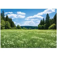 WALLARENA - Fotobehang - 200x140 cm - bos, bomen en weide voor woonkamer en slaapkamer