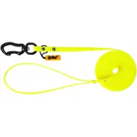 Dingo Flex Trainingslijn Geel - 2cm x 5m