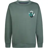 Petrol Industries - Jongens Relaxed sweater met print ironbrook - Groen - Maat 104