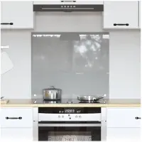 vidaXL Keukenachterwand Lichtgrijs 70 x 60 cm gehard glas