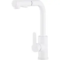 Gamma Keukenmengkraan Side 2 Wit - Uittrekbare Uitloop