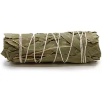 AW Gifts Smudge Stcik - White Sage & Eucalyptus 10 cm