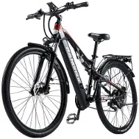 RANDRIDE Elektrische fiets - - YG90B - Motor 1000W - Batterij 48V 17Ah - Wielen 29"